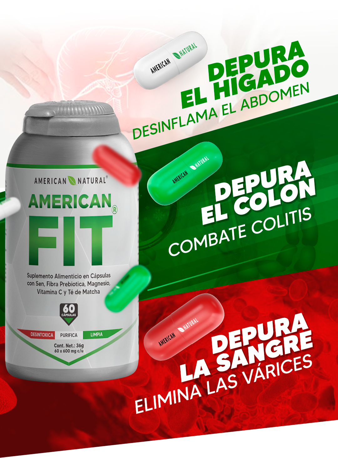 American Fit - AMERICAN NATURAL